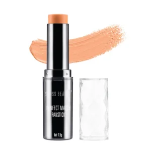 Swiss Beauty Perfect Match Panstick N06 Orange