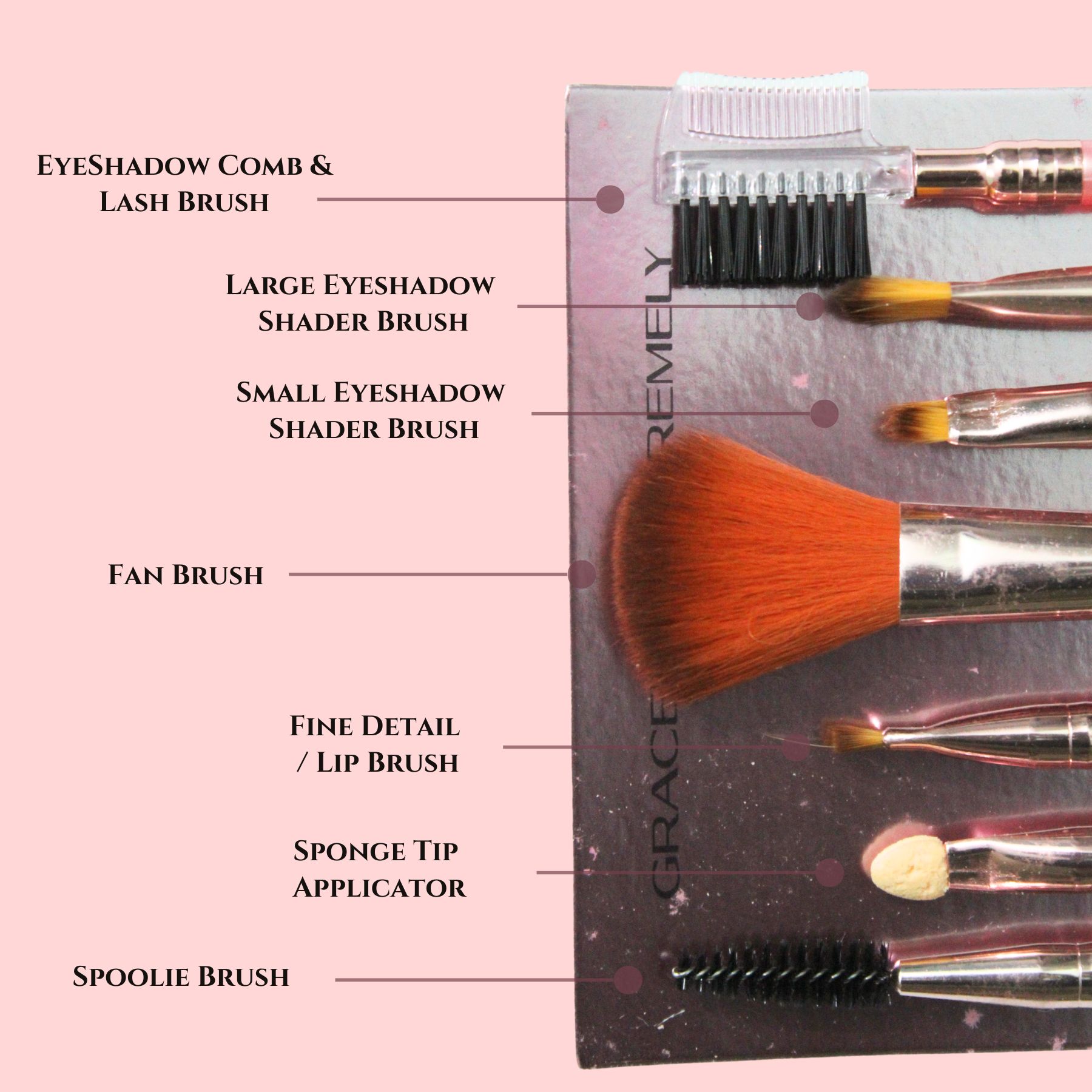 Professional beauty tools kit featuring fan brush, spoolie, and eyeshadow brushes for precision makeup application